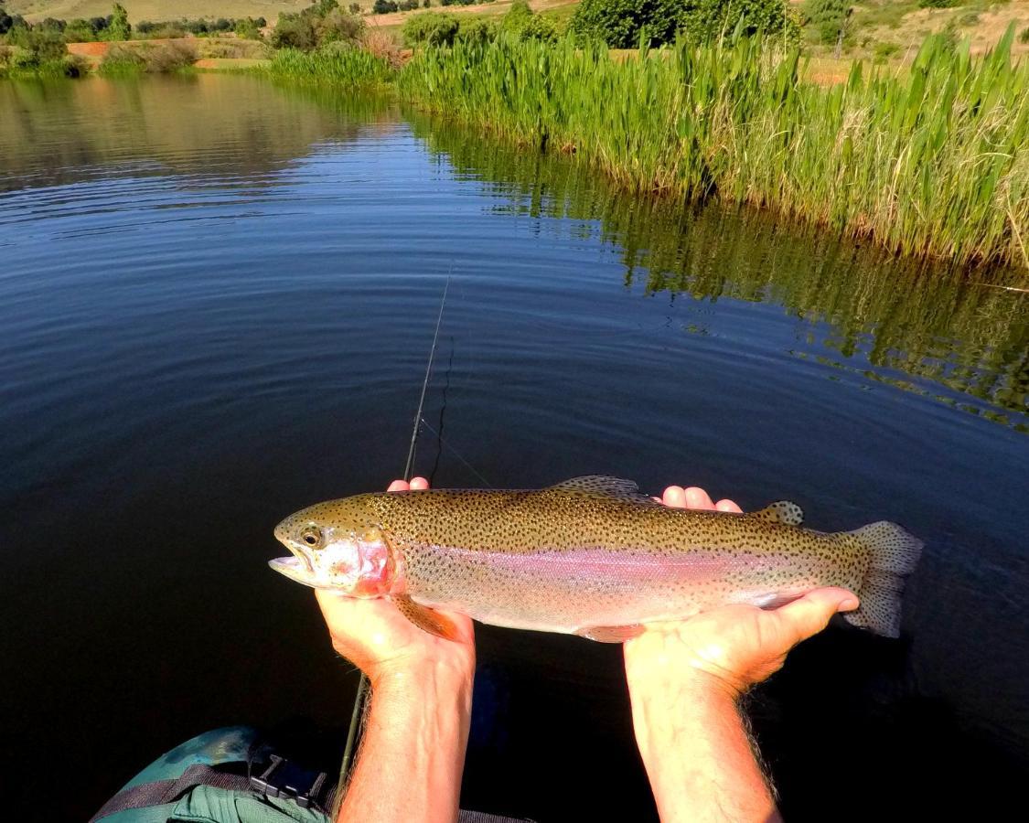 Walkersons Trout And Nature Haven Dullstroom Zewnętrze zdjęcie